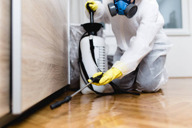 Pest Prevention Services in Garden Grove, FL