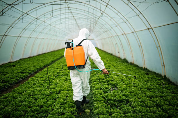 Best Affordable Pest Control Services  in Garden Grove, FL