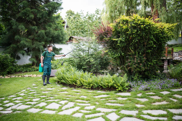Best Wasp Removal Services  in Garden Grove, FL