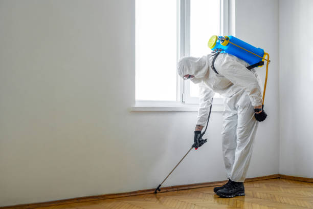 Reliable Garden Grove, FL Pest Control Solutions