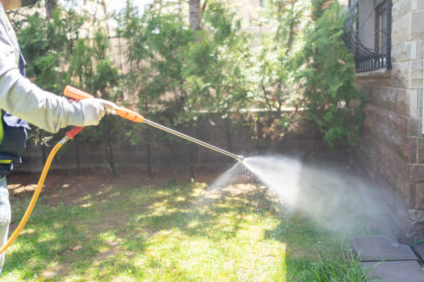 Best Best Pest Control Companies  in Garden Grove, FL