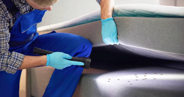 Best Pest Control Near Me  in Garden Grove, FL