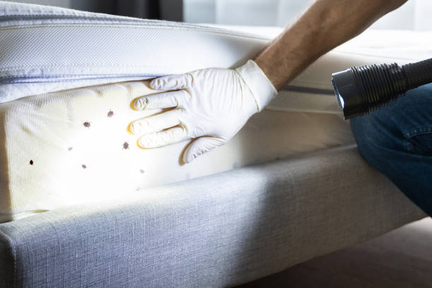 Best Wildlife Control Services  in Garden Grove, FL