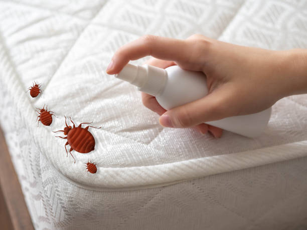 Best Spider Control Near Me  in Garden Grove, FL