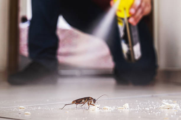 Professional Pest Control in Garden Grove, FL