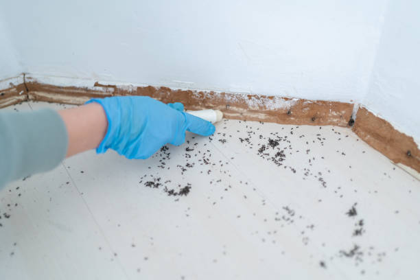 Best Bird Control  in Garden Grove, FL