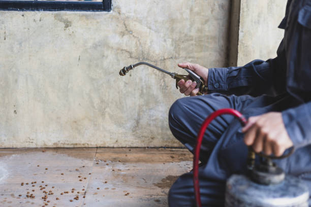 Best Flea Control Services  in Garden Grove, FL