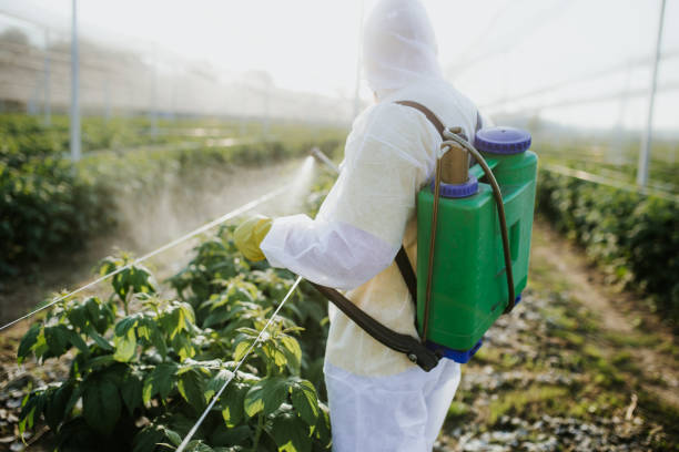Best Pest Inspection Near Me  in Garden Grove, FL
